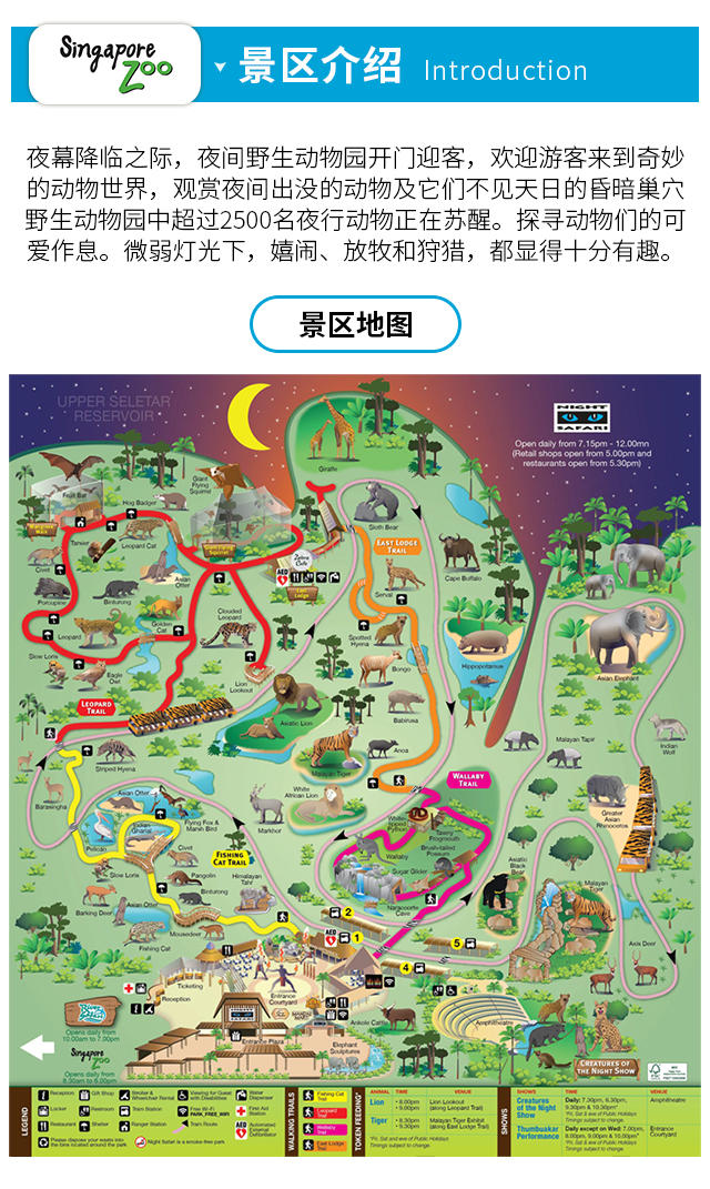 小熊消消乐游戏攻略(消消乐小熊怎么打)