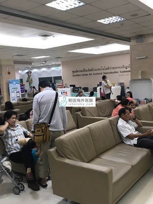 泰国医院游戏攻略,泰国医院图片