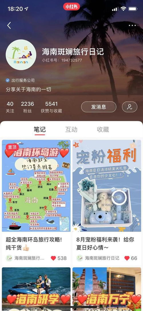 小红书露营活动游戏攻略[小红书上旅游攻略是真的吗]