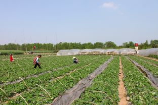 波斯之夜游戏攻略[波斯之夜隐藏物品攻略]