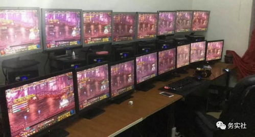 一台电脑赚钱攻略游戏[一台电脑玩什么游戏日赚200]