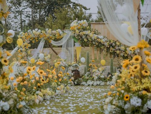 海边求婚攻略游戏推荐[海边求婚现场布置效果图]