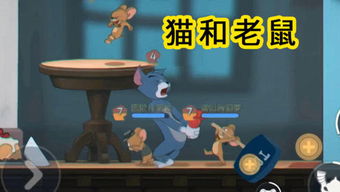 猫鼠游戏边伯贤攻略[猫鼠游戏橙光伯贤攻略]