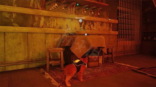 stray游戏攻略[stray游戏攻略图文]