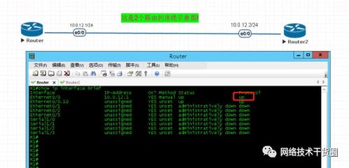 游戏福利攻略心得[游戏福利是什么意思]