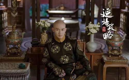 延禧攻略电视剧里面的演员的名字,延禧攻略饰演者