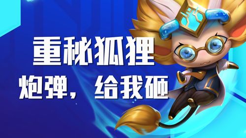 关于管狐哪里多跑跑车网的信息