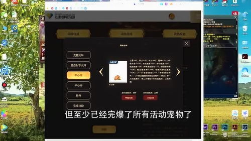 dnf心悦宠物属性大全,dnf心悦宠物属性大全2022