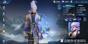 王者荣耀云中君,王者荣耀云中君皮肤