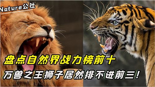 山海经十大凶兽排名,山海经十大凶兽排名第三