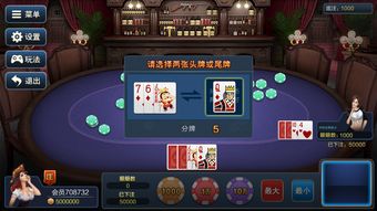 双人同一台手机游戏,双人同一台手机游戏叫什么