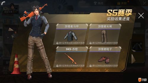 和平精英体验服官方网站,和平精英体验服官方网站登录