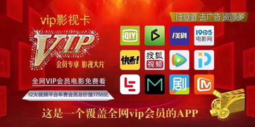 类似vip888激活码的礼包,万能激活码6位
