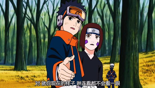 火影忍者全集免费观看版,火影忍者免费观看全集在线高清