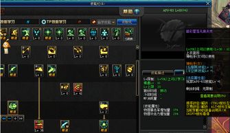 dnf女大枪技能加点,dnf大枪技能加点110