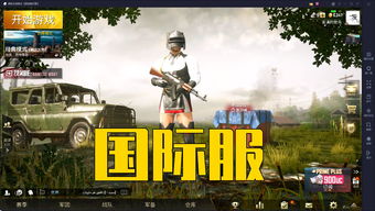 刺激战场国际服免费下载,刺激战场国际服免费下载苹果