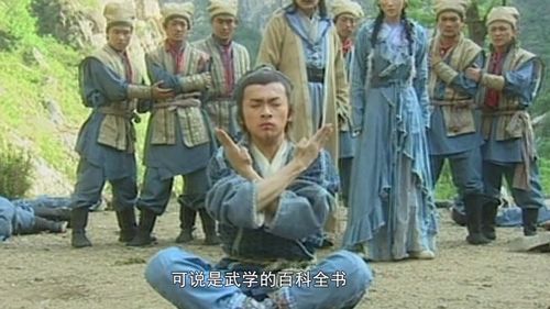 九阴九阳之阴阳神功,九阴九阳之阴阳神功等级