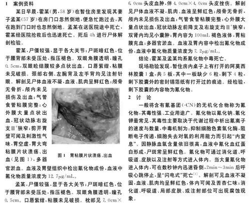 犯罪大师的全部题答案,犯罪大师的全部题答案湘西赶尸