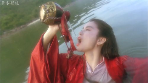 笑傲江湖东方不败,笑傲江湖东方不败和风清扬比武是第几集