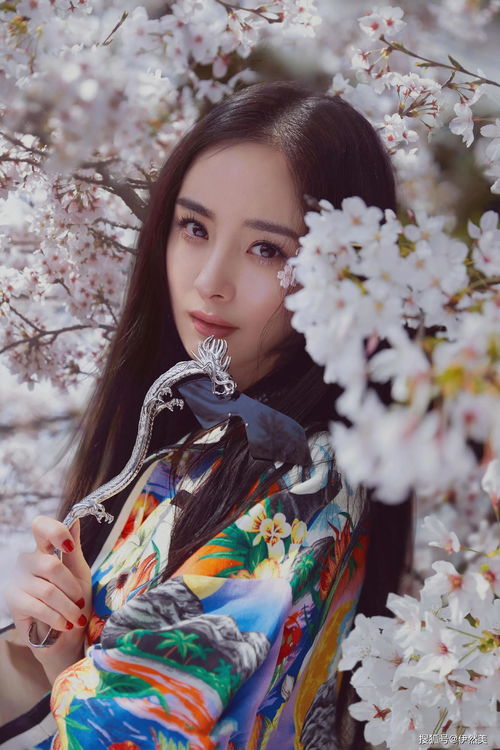 樱花校园服装大更新旗袍,樱花校园服装大更新旗袍英文版
