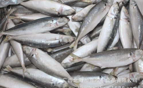 缘木求鱼,缘木求鱼,狼则罹之,是可笑也的意思