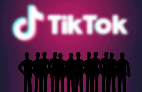 tiktok抖音国际版下载,抖音国际版 tiktok官方下载