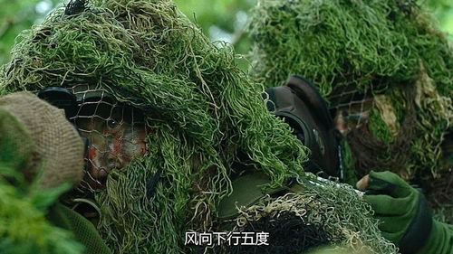 狙击精英巅峰对决,狙击精英巅峰对决电影完整版免费观看