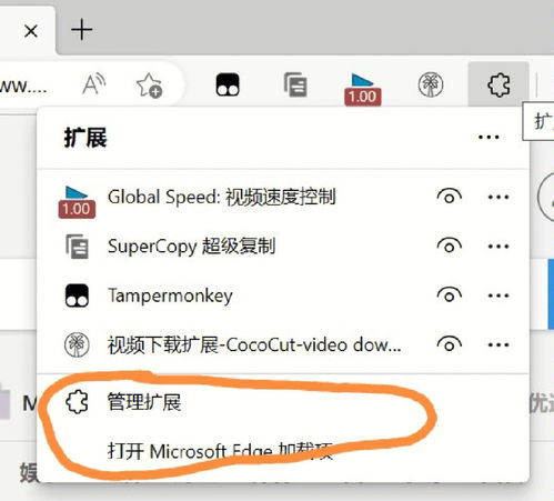 怎么下载网页上的视频,手机怎么下载网页上的视频