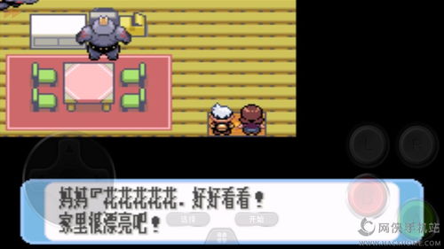 口袋妖怪红宝石破解版,口袋妖怪红宝石破解版下载金手指