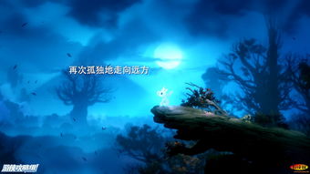 奥日与黑暗森林,奥日与黑暗森林荆棘沼泽怎么出去