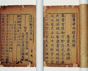 主角靠黄帝内经双修,主角靠黄帝内经双修的天龙八部有没有