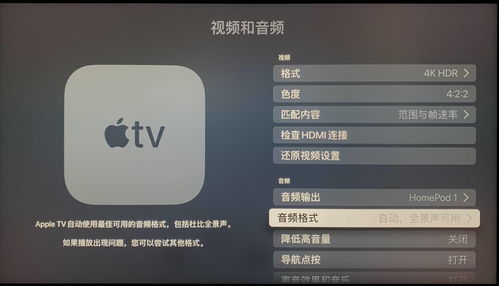 10000首无损音乐在线听,10000首无损音乐在线听刘德华