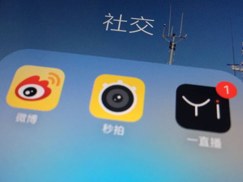 夜晚十大禁用直播app,看b站二十四小时直播间