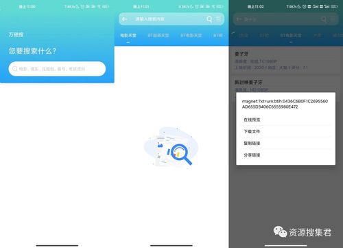 种子搜索神器网页版,种子搜索神器网页版