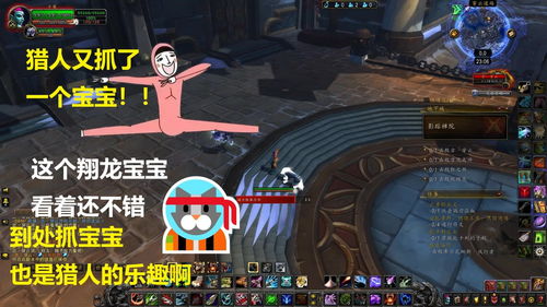 魔兽世界猎人宝宝技能大全,魔兽世界猎人宝宝技能表