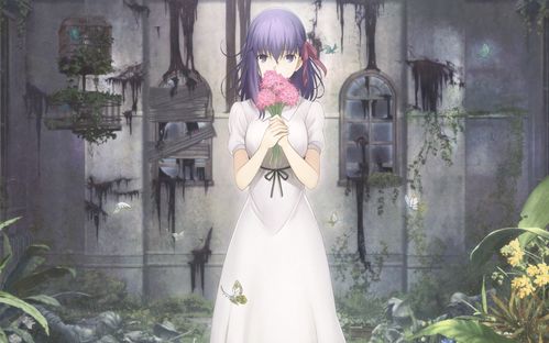 fate天之杯3樱花动漫,fate天之杯3免费