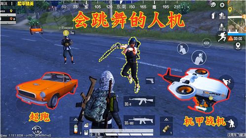 和平精英(体验服)下载安装,和平精英体验服下载安装免费苹果