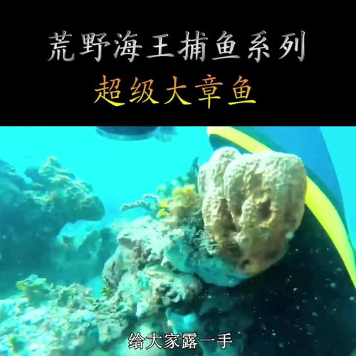 海王捕鱼,海王捕鱼官方最新版下载