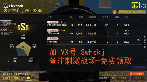 刺激战场自瞄辅助永久,刺激战场自瞄辅助永久手机版