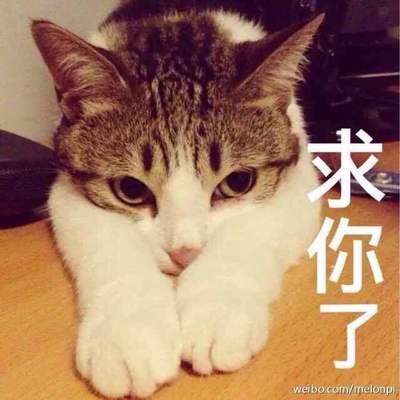 剑灵百度百科,剑灵 百科