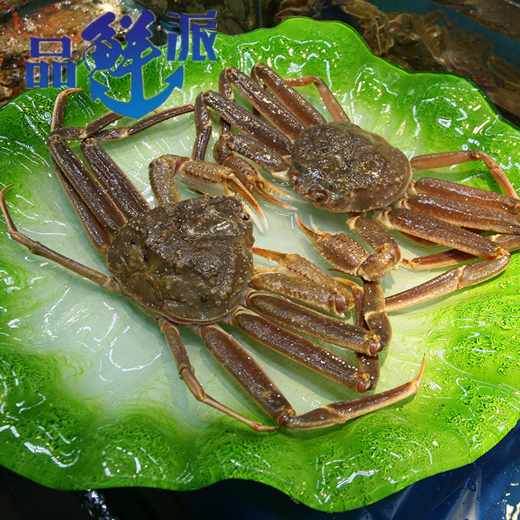 帝王蟹,帝王蟹熟冻和生冻哪个好