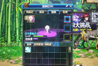 dnf迷你黑暗武士,地下城迷你黑暗武士