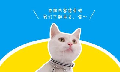 狸猫加速器,飞鸟加速器