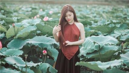 草莓榴莲向日葵秋葵香蕉免费,草莓榴莲向日葵秋葵app
