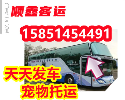 广州坐车网查询,广州坐车网查询系统