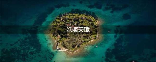 刺客加点2021,刺客加点元气骑士