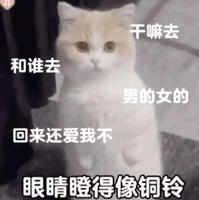 网上很火的动态表情包,网上很火的动态表情包2022
