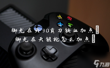 御龙在天霸刀铁血加点,御龙在天霸刀铁血和狂暴哪个好战力
