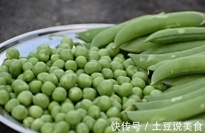包含绿叶加速器永久免费版的词条
