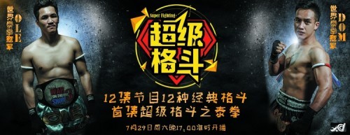 真人格斗游戏下载,格斗真人版游戏